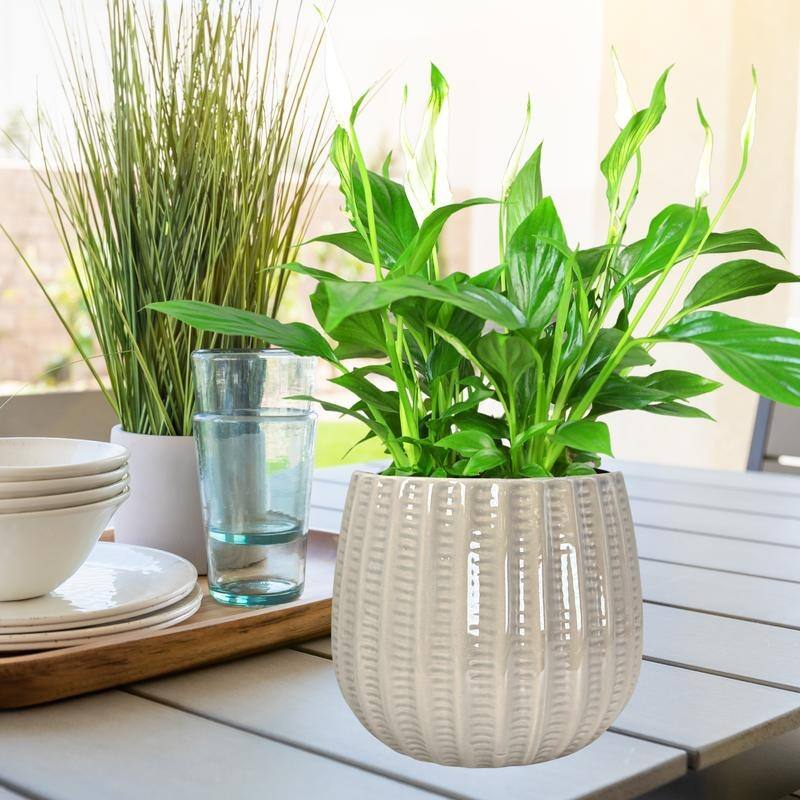 5 inch Ceramic Flower Planter Pot