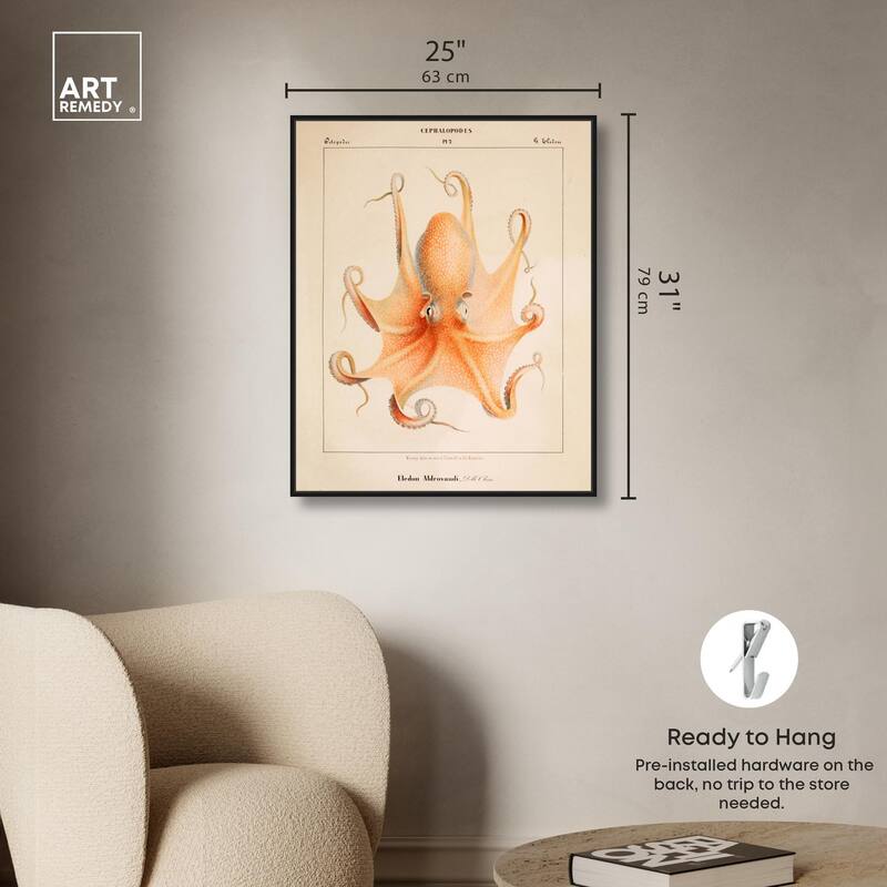 Verany The Octopus 1815 II Canvas by Art Remedy