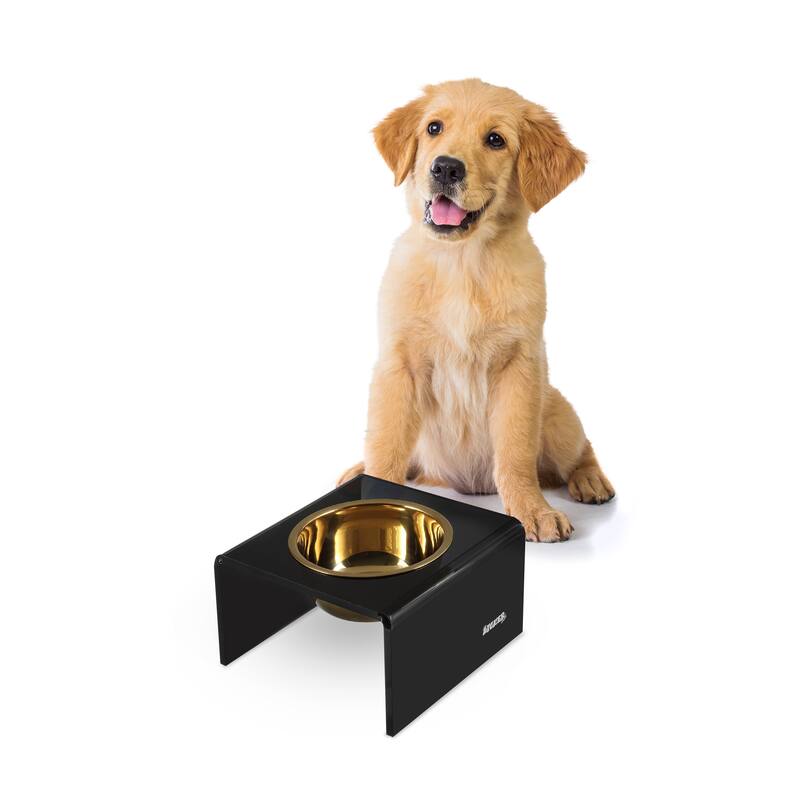 Keaton 5" Small/Medium Modern Lucite Rectangular Elevated Pet Feeder with 20oz 2-Stainless Steel Bowls - Black/Gold - Single