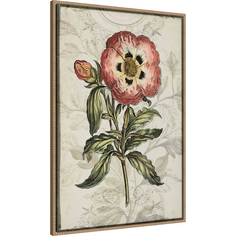 Keepsake Floral No. 2 by Jennifer Goldberger (28 x 41 in.), Framed Canvas Wall Art Print