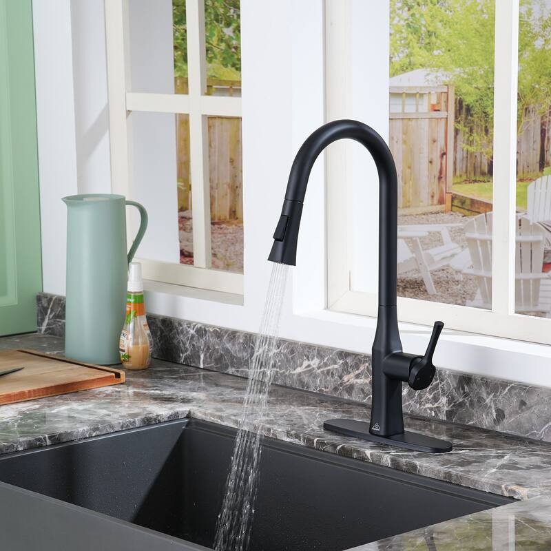 Single-Handle Pull-Out Sprayer Kitchen Faucet