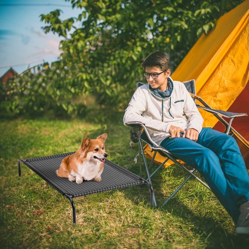 43 in. x 26 in. Iron Frame Mesh Top Outdoor Dog Cot - 43 in. x 16 in. x 8 in.