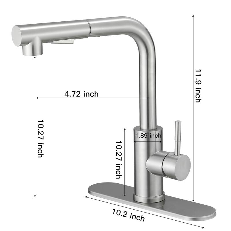 WIZ Pull Out Kitchen Faucet with Pull Down Sprayer
