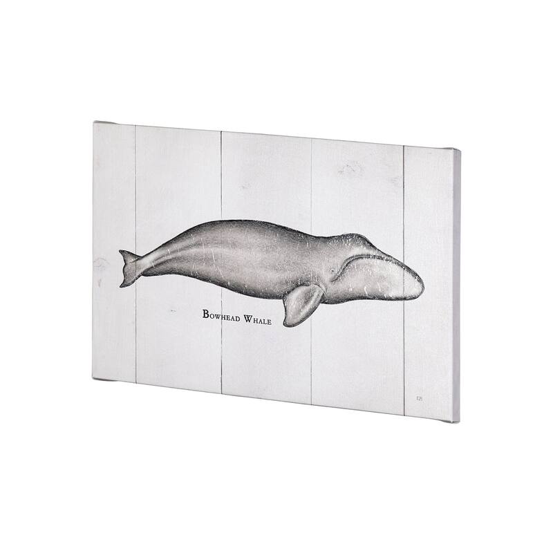 Bowhead Whale (30 x 20) Canvas Art Print