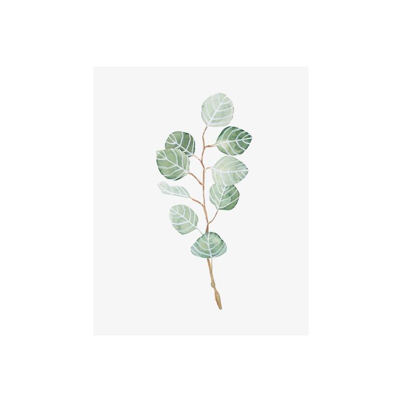 Soft Eucalyptus Branch III (28 x 35) Canvas Art Print - Small