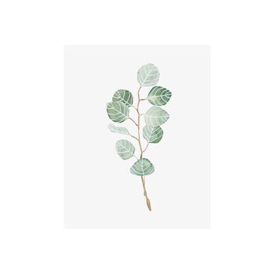 Soft Eucalyptus Branch III (28 x 35) Canvas Art Print