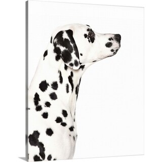 Shop Silhouette Of Dalmatian S Face Canvas Wall Art Overstock 21595181