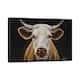 iCanvas "Cow 'Tank' Black Background II" by Hippie Hound Studios Framed Canvas Print - Black - 26x40