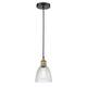 Option Clear / Black Antique Brass