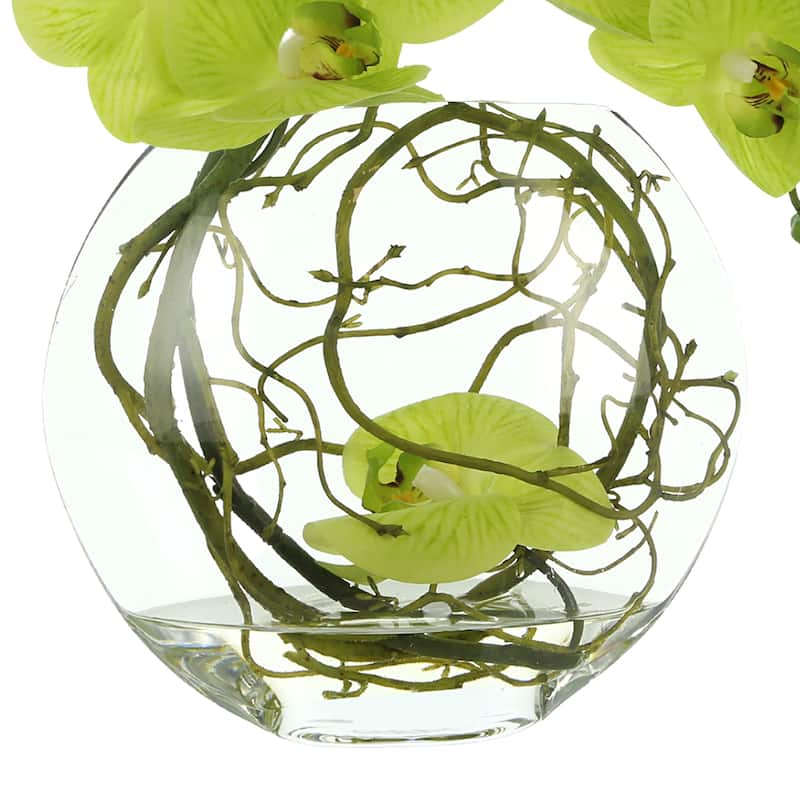 Orchid Floral in Glass Vase