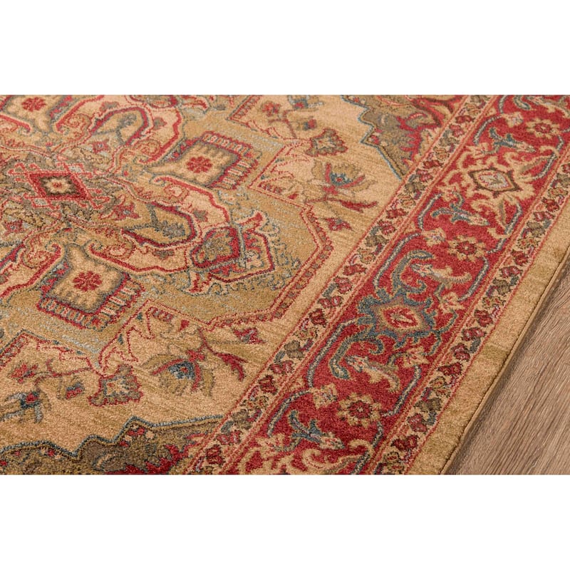 ECARPETGALLERY Machine Woven Lux Traditional Area Rug