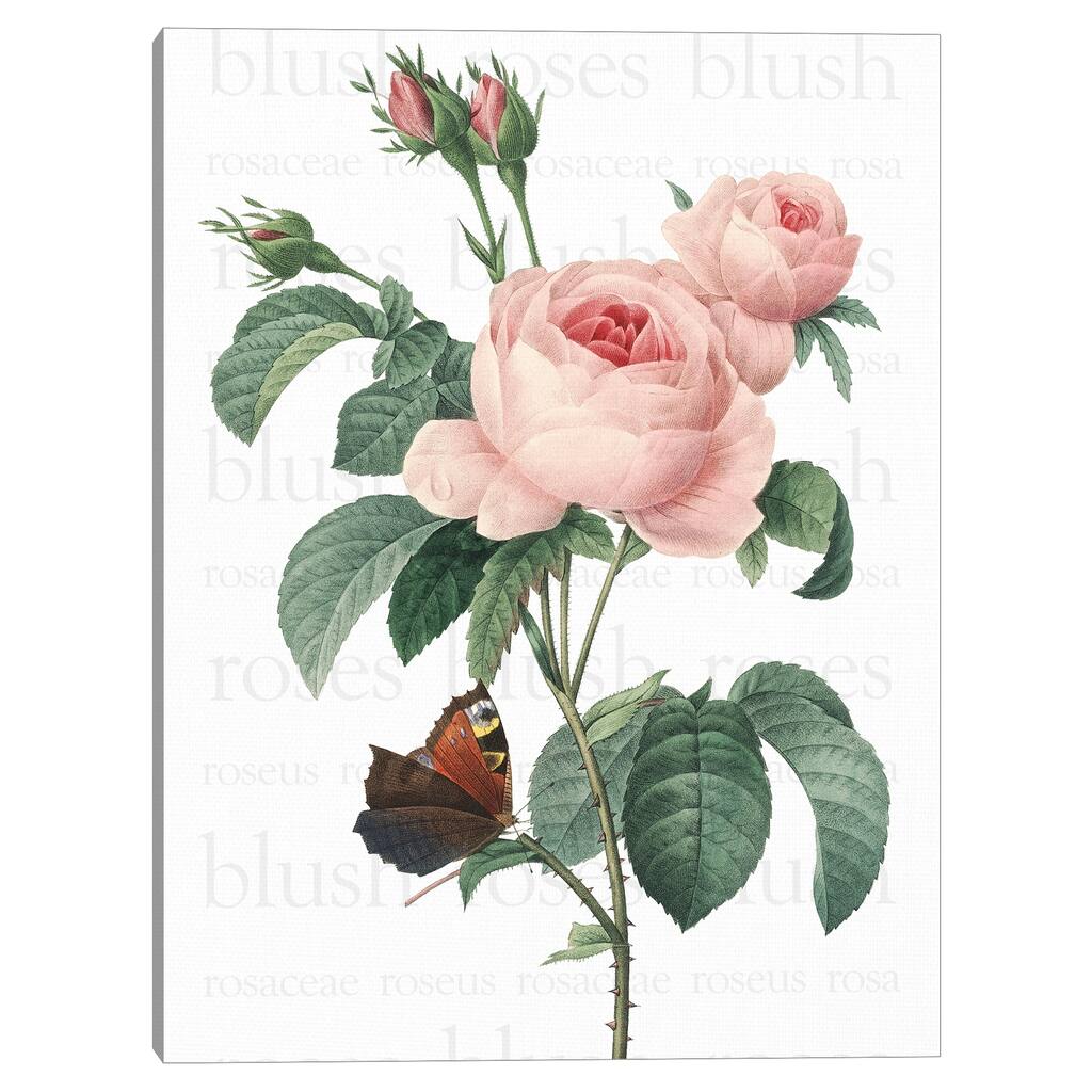Pink Roses 2 Text Canvas Art Print