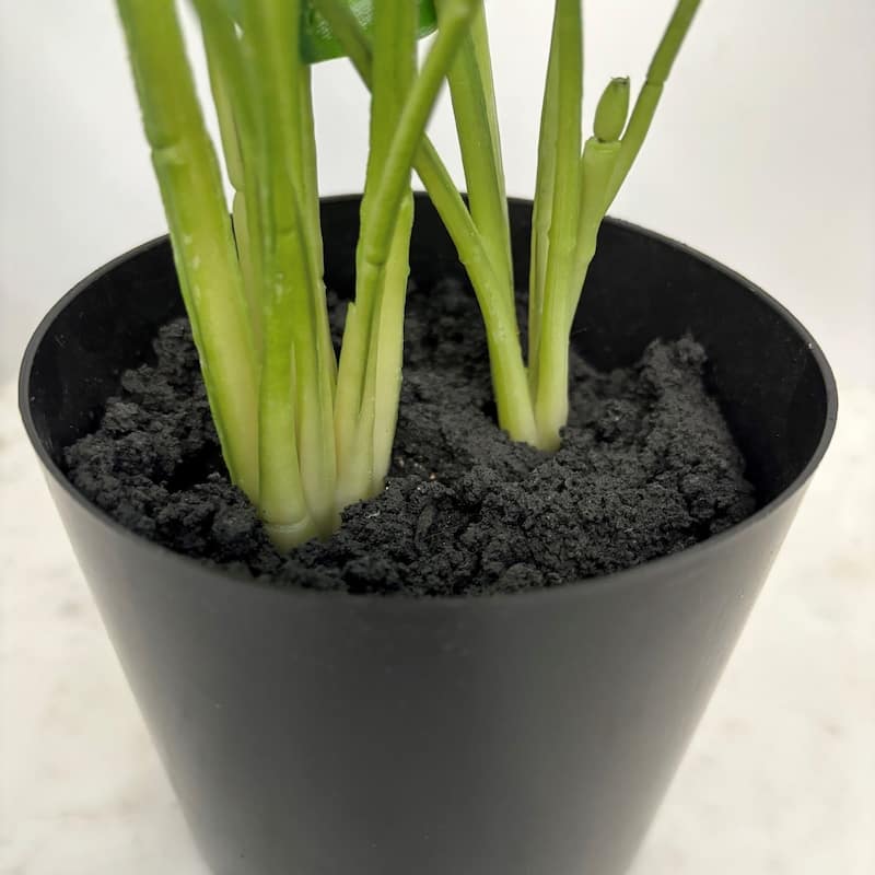 Faux Marantaceae w/ Pot 21"H- A - GREEN