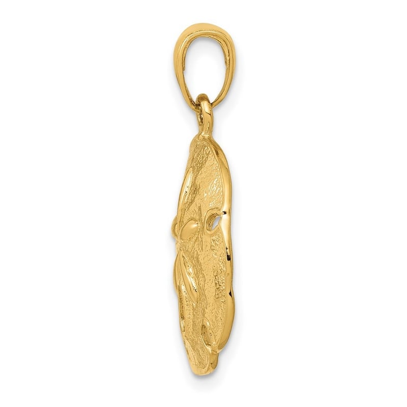 Curata 14k Yellow Gold 18" Textured back Sand Dollar Pendant Necklace