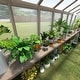 preview thumbnail 11 of 39, VEIKOUS Wooden Greenhouse Shelves, Heavy-Duty Storage Shelving for Wooden Greenhouses, 5 Available Sizes