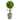 15" Eucalyptus Topiary Artificial Tree - 6"