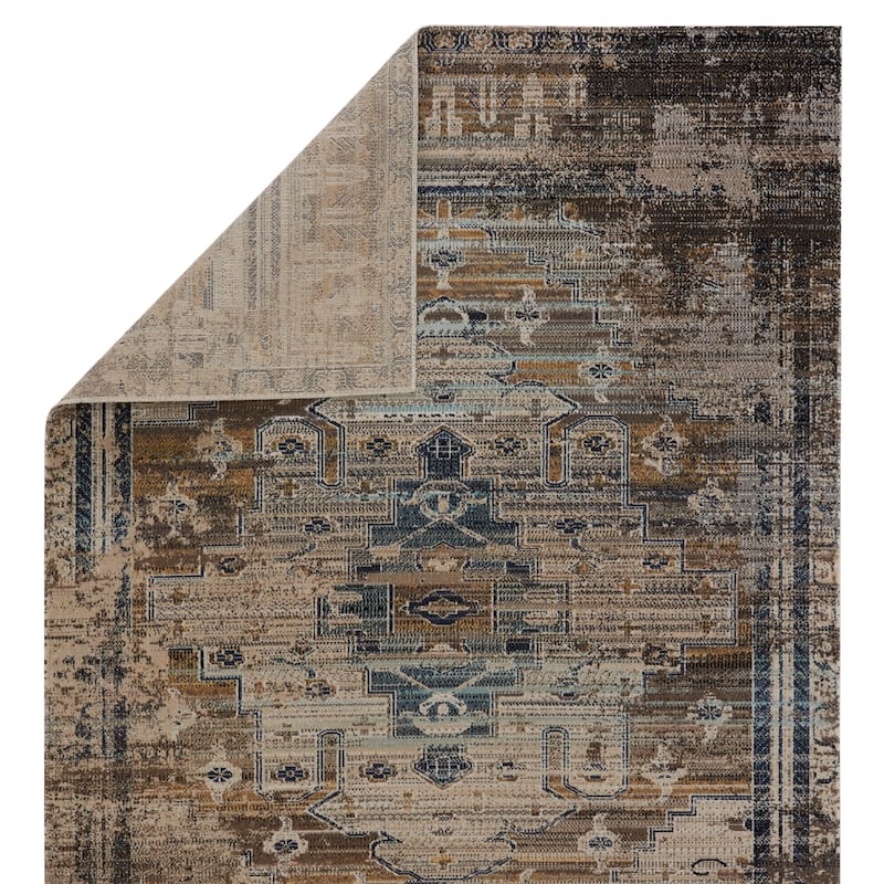 Cicero Indoor and Outdoor Medallion Area Rug