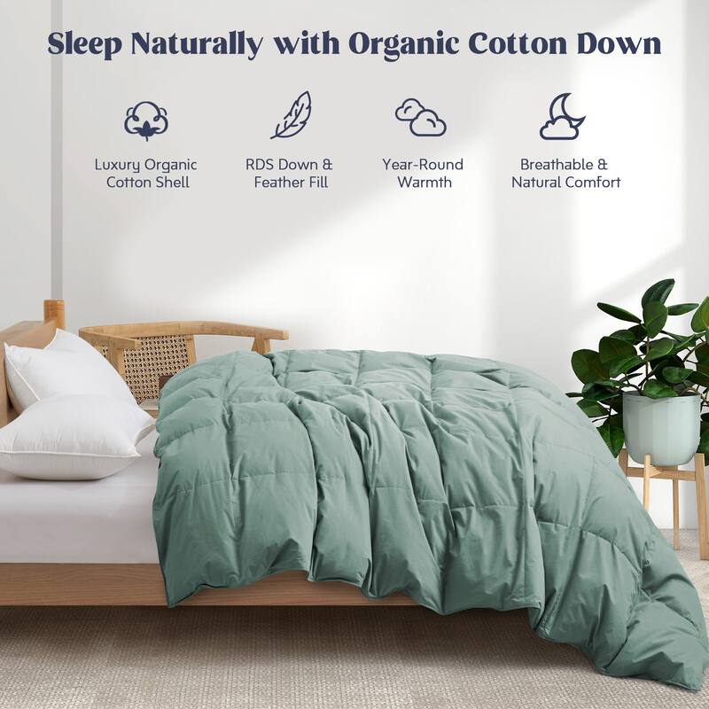 All Season 100% Organic Cotton Down Duvet Insert Medium Warmth Comforter - King - Green