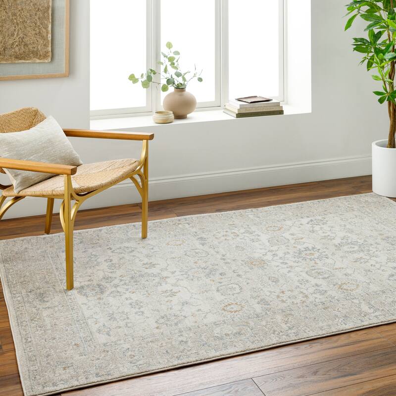 Keagan Traditional Area Rug - Gray - 5' 3" x 7'