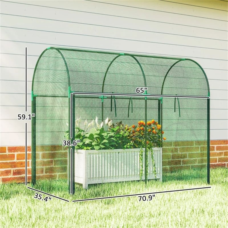 Crop Cage, Plant Cage, Garden Cage, Green
