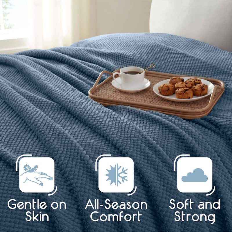 Vellux Plush Texture Blanket