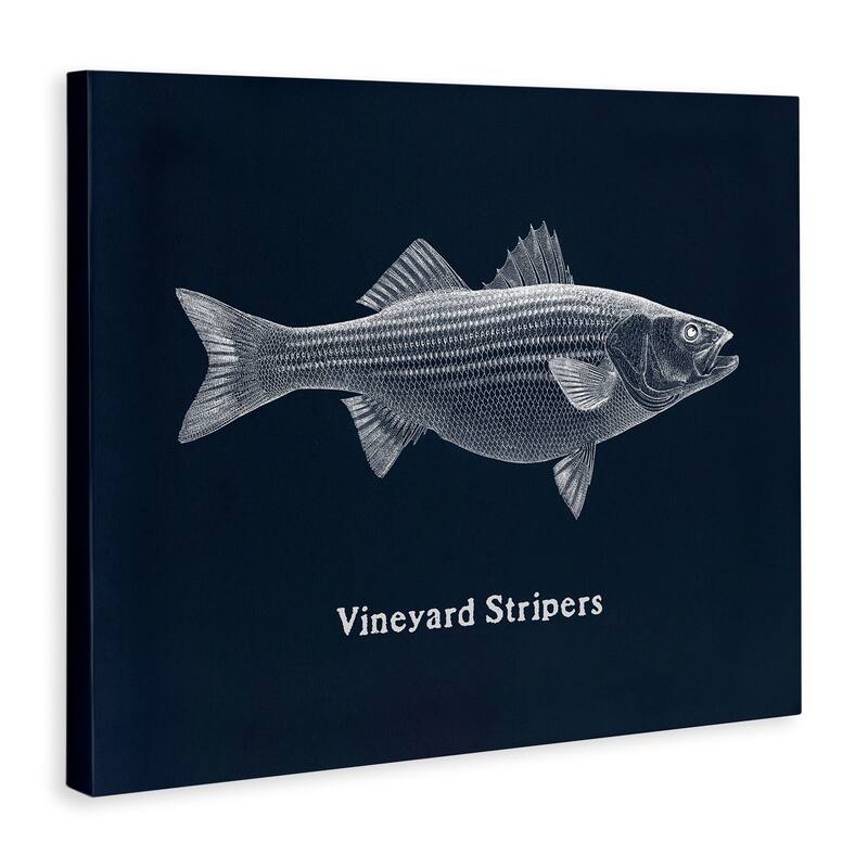 Stupell Vineyard Stripers Fish Canvas Wall Art Design By Phillipa Katz