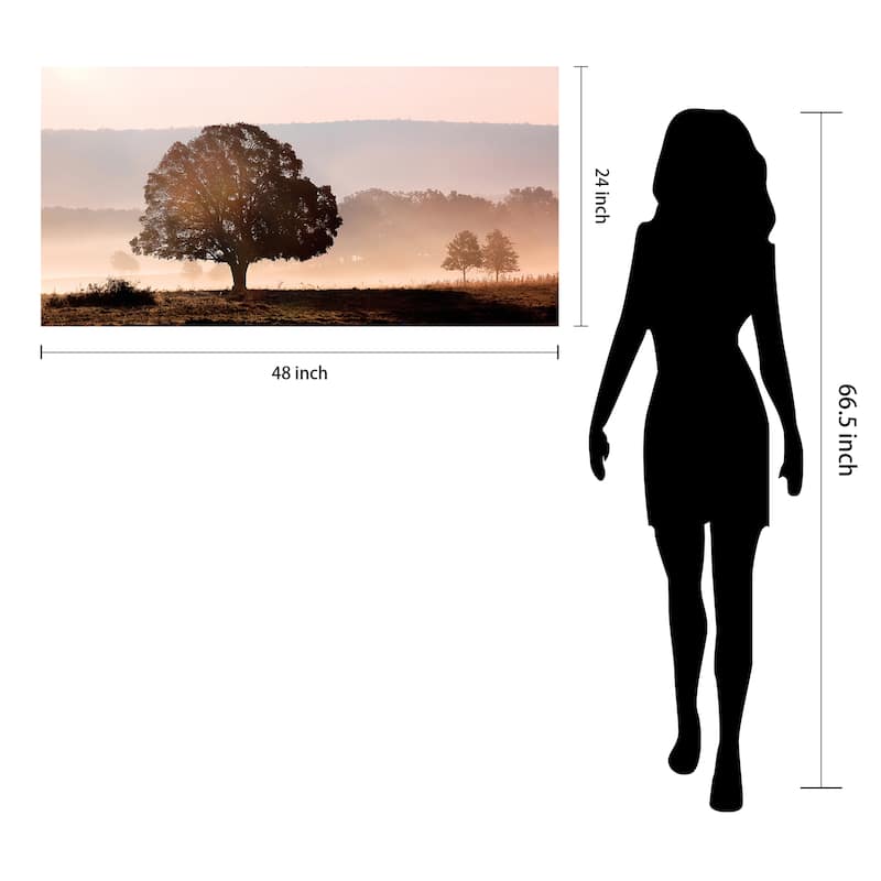 "Plain View" Frameless Free Floating Tempered Art Glass Wall Art by EAD Art Coop