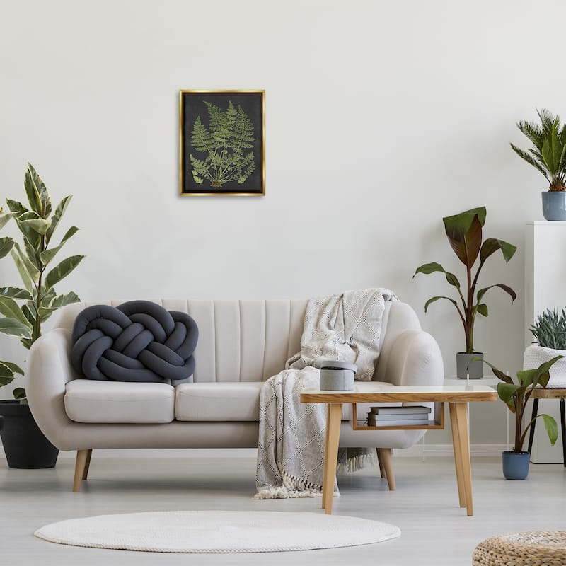 Stupell Botanical Drawing Green Black Design Floater Frame