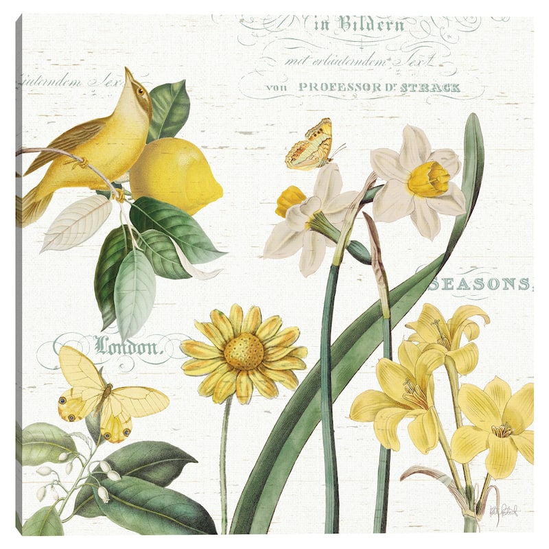 Citron Curiosities II by Katie Pertiet Canvas Art Print