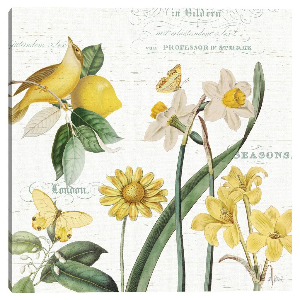 Citron Curiosities II by Katie Pertiet Canvas Art Print