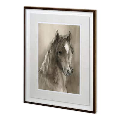 Horse Portrait I Framed Art Print