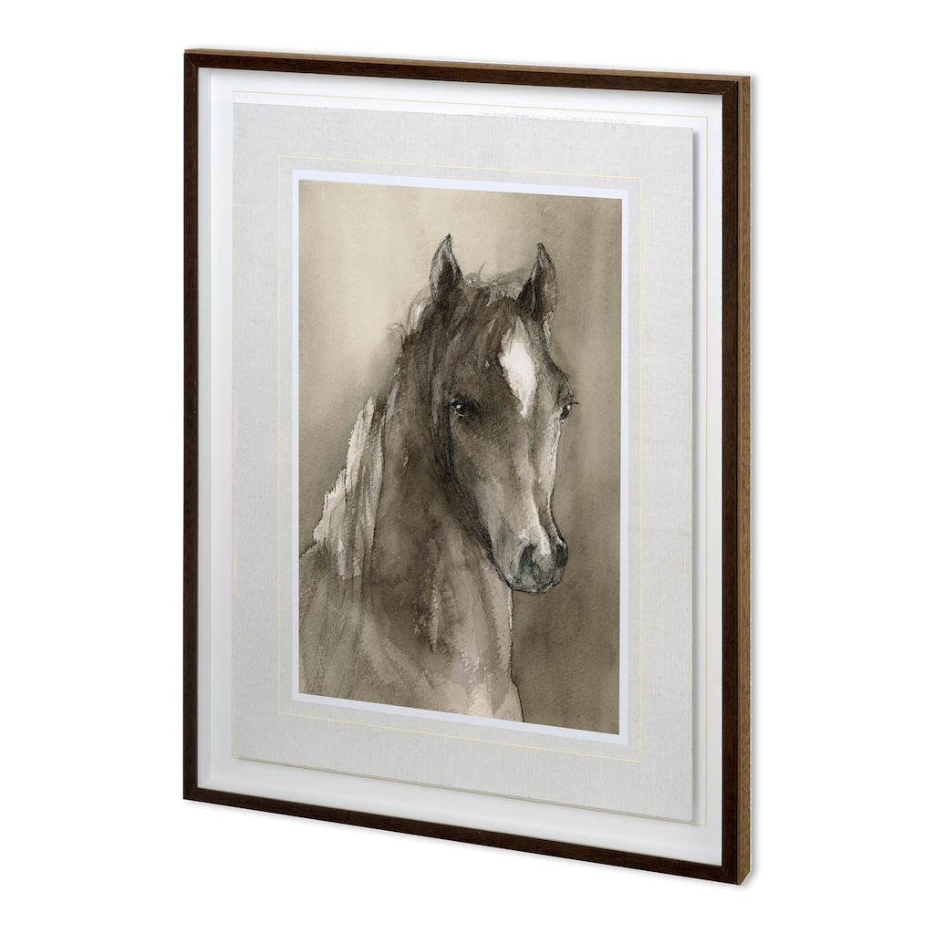 Horse Portrait I Framed Art Print