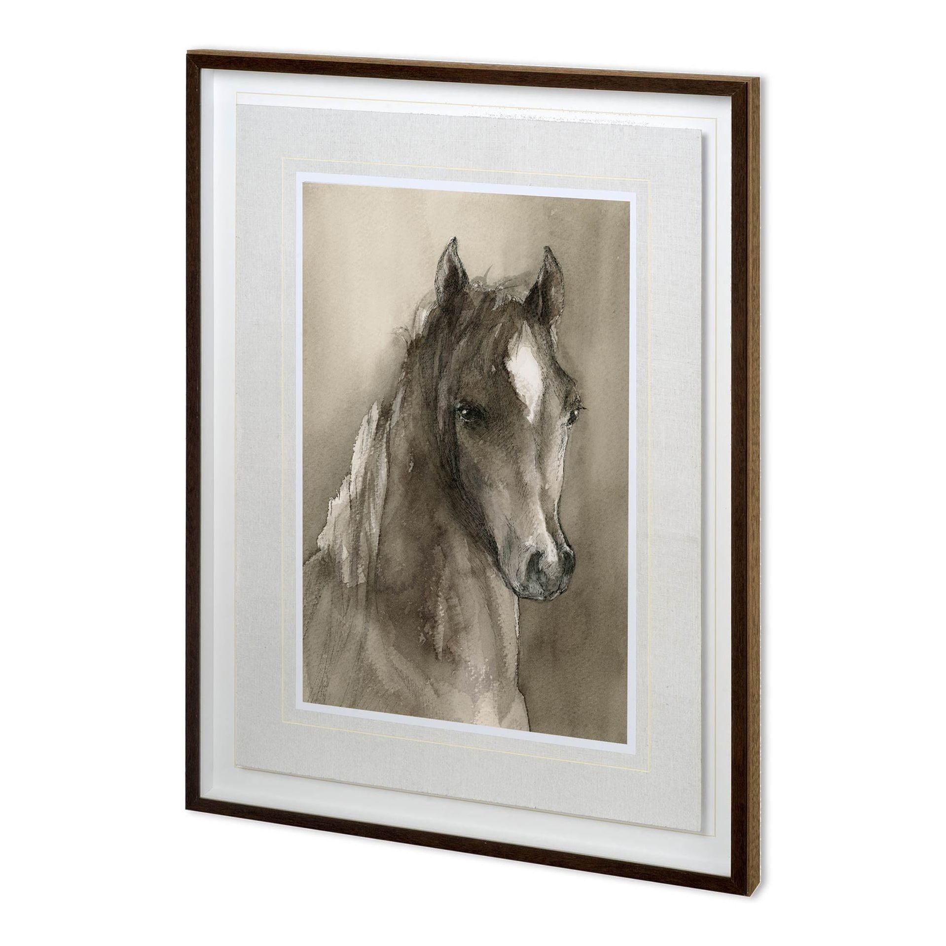 Horse Portrait I by Mercana Studio a Hand Embellished Textured Framed Art Print Matted under Glass