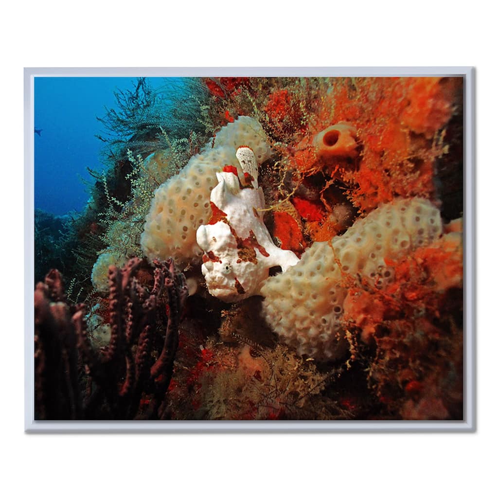 Chris Doherty 'Underwater' Framed Canvas Wall Art