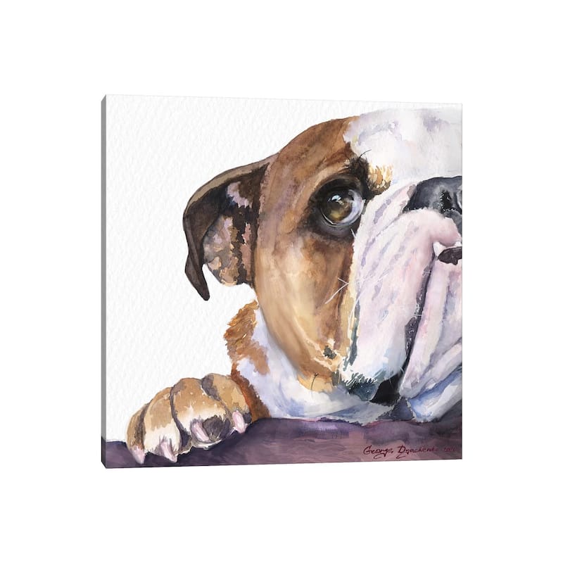 iCanvas "Peek A Boo English Bulldog Puppy" by George Dyachenko Canvas Print