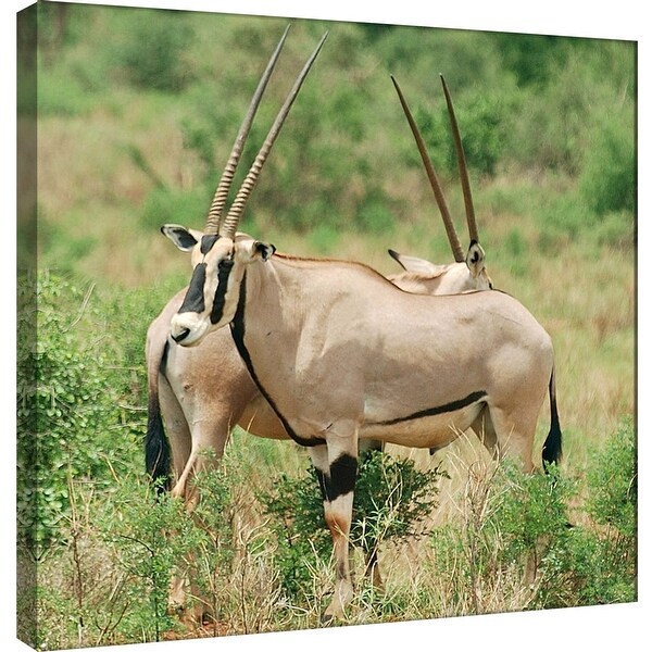 PTM Images 9-101270 PTM Canvas Collection 12" x 12" - "Oryx" Giclee Animals Art Print on Canvas