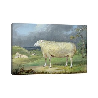 iCanvas "A Border Leicester Ewe" by James Ward Canvas Print - Bed Bath ...