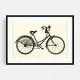 The Vintage Lady Bicycle Photography Art Print/Poster - Bed Bath ...