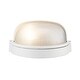 preview thumbnail 5 of 9, Trans Globe Lighting Single Light Down Lighting Eye Brow Outdoor Bulk