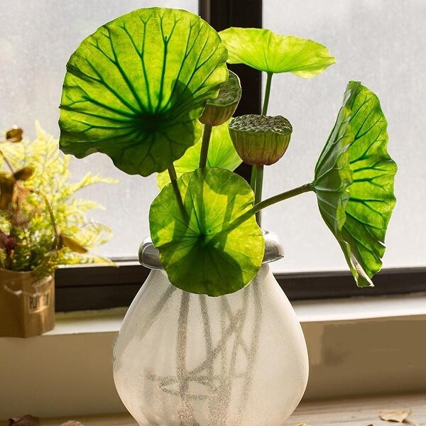 RusticReach Lotus Set in Glass Vase