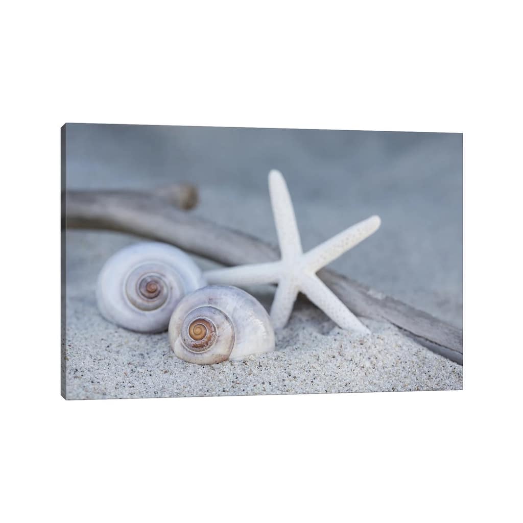 iCanvas "Starfish Beach Still" by Andrea Haase Canvas Print