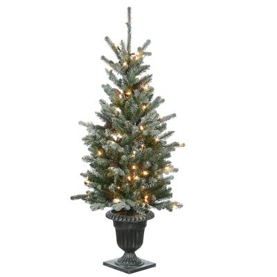 4 ft. Snowy Morgan Spruce Entrance Tree with Clear Lights