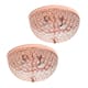 Option Rose Gold