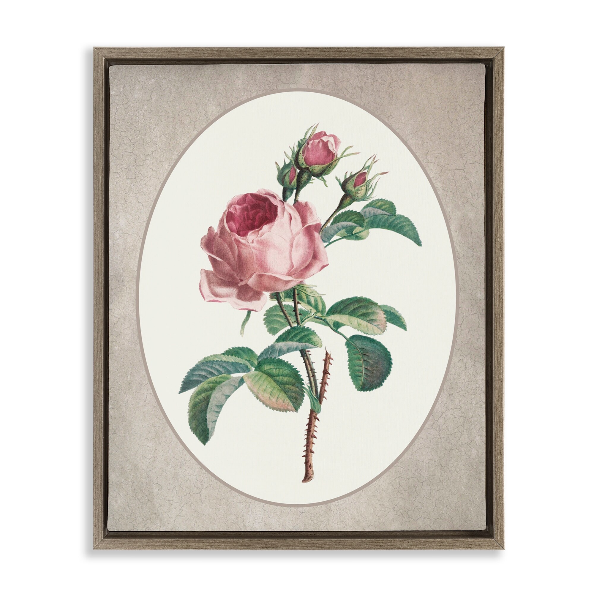 Stupell Vintage Rose within Oval Framed Floater Canvas Wall Art Design By Lettered and Lined