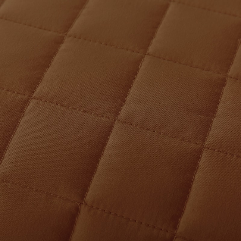 Velvet Trim Down Alternative Blanket