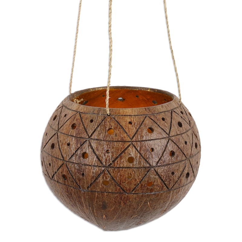 Novica Handmade Raindrops Coconut Shell Hanging Planter