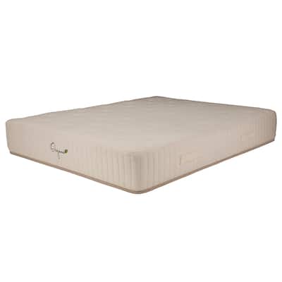 Organa Plush 10 in. Latex Pocket Spring Mattress