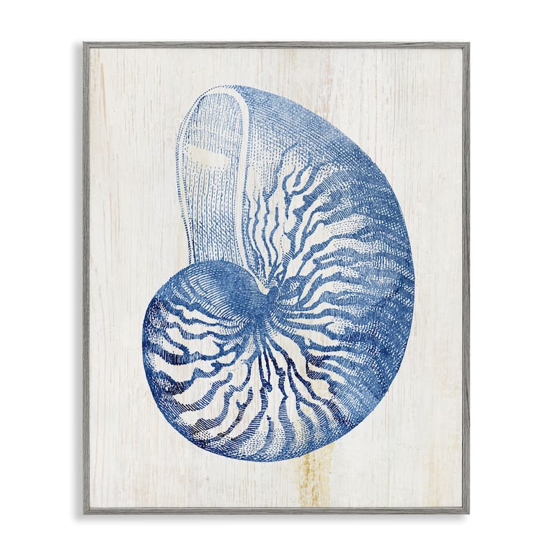 Stupell Blue Nautilus Shell Framed Giclee Art Design By Susan Arnot - 16 x 20 - Grey