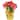 Artificial Christmas Poinsettia with Wrapped Base - 14.5" - Pink