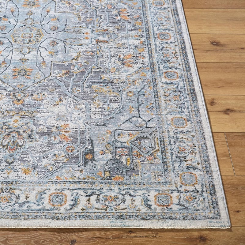 Livabliss Hassler Traditional Medallion Area Rug